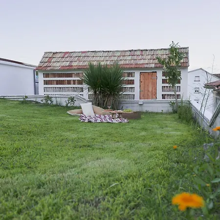 Bleu Maison - Muxica Do Campo 2